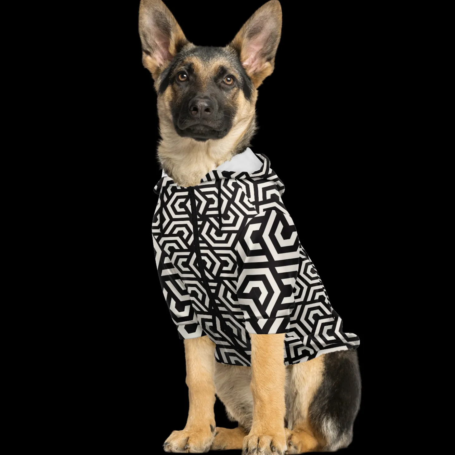 kapuzenpulli_mit_reiversc_4-14.webp Kapuzenpulli mit Reißverschluss für Hunde | Abstrakt