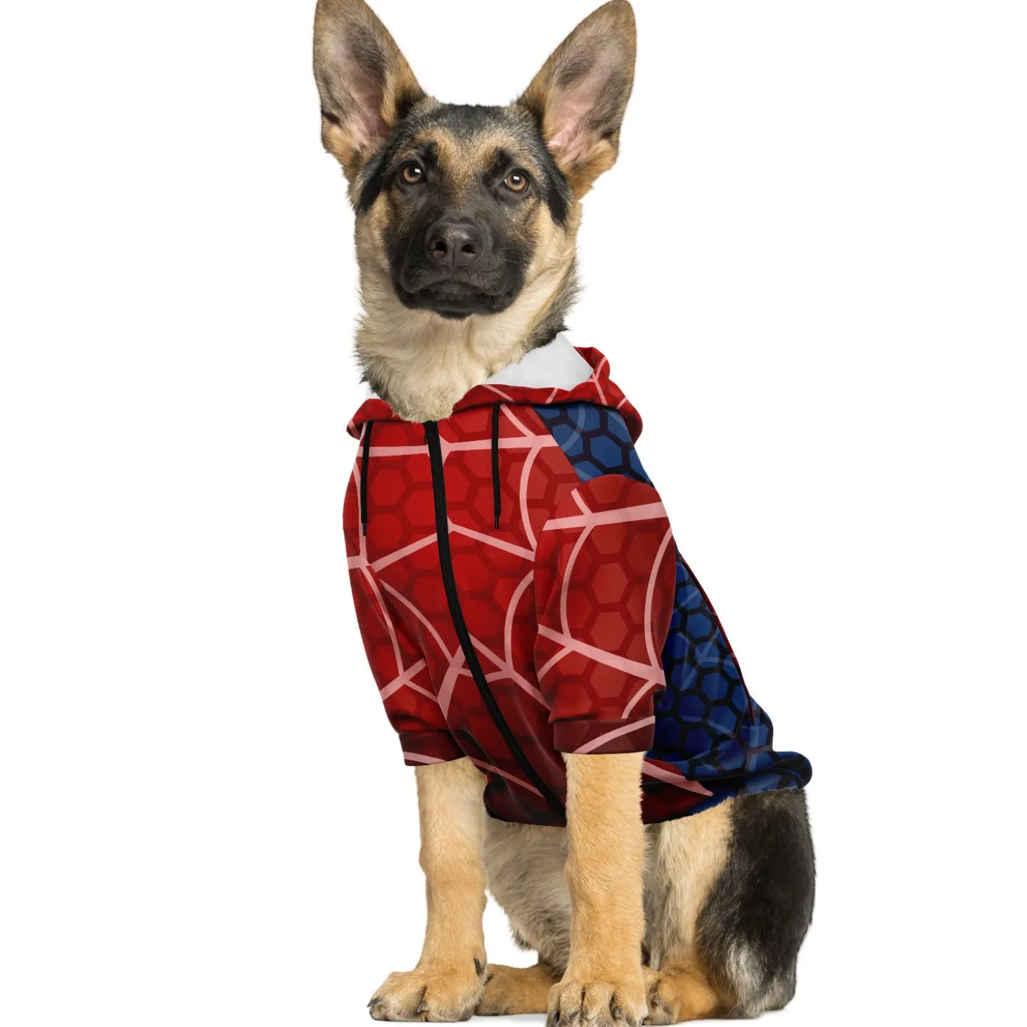 kapuzenpulli_mit_reiversc_4-5.webp Kapuzenpulli mit Reißverschluss für Hunde | Spinnenhund