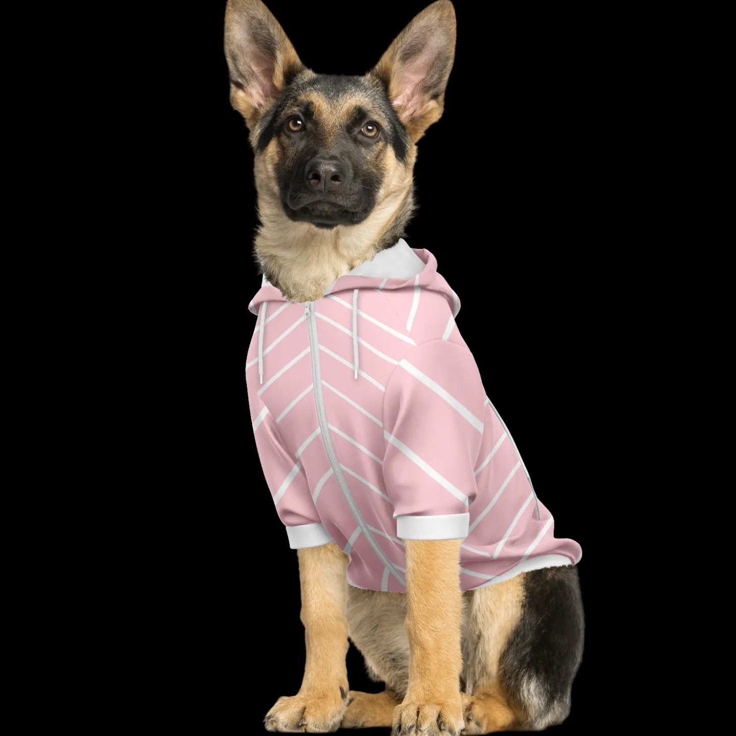 kapuzenpulli_mit_reiversc_4-8.webp Kapuzenpulli mit Reißverschluss für Hunde | Weiß gestreifte Rose