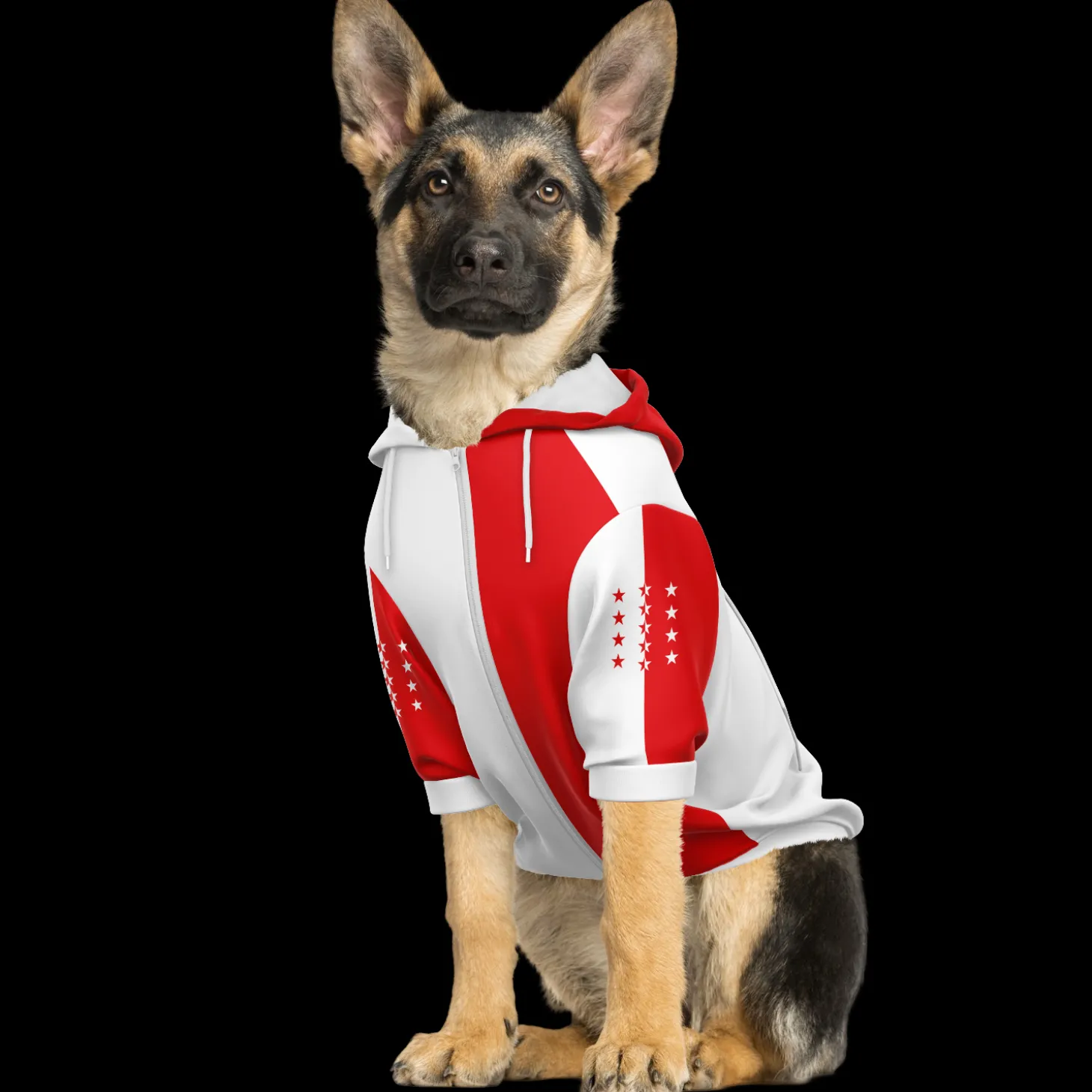 kapuzenpulli_mit_reiversc_4.webp Kapuzenpulli mit Reißverschluss für Hunde | Wallis
